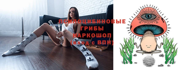 mdpv Няндома