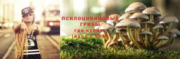 mdpv Няндома