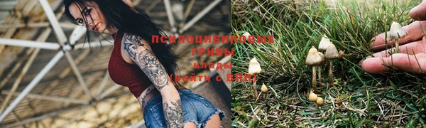 mdpv Няндома