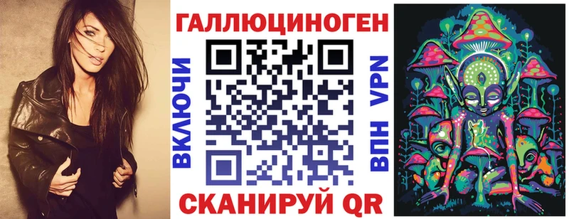Купить  Оса  Галлюциногенные грибы Cubensis 